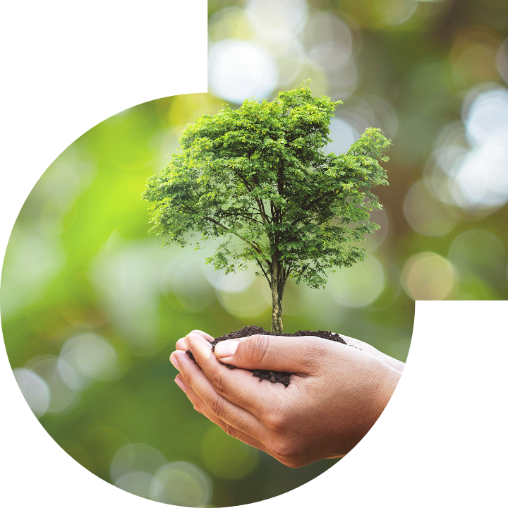 关怀人类、文化、环境与社会